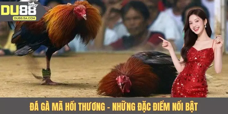 Đá gà mã hồi thương - Những đặc điểm nổi bật Đá gà mã hồi thương - Những đặc điểm nổi bật
