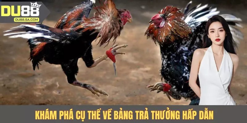 Khám phá cụ thể về bảng trả thưởng hấp dẫn Khám phá cụ thể về bảng trả thưởng hấp dẫn
