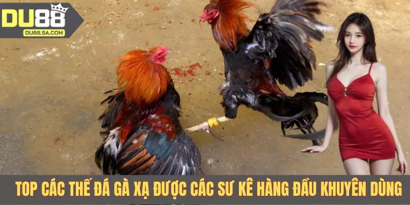Top các thế đá gà xạ được các sư kê hàng đầu khuyên dùng Top các thế đá gà xạ được các sư kê hàng đầu khuyên dùng